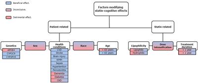 Statins and cognition: Modifying factors and possible underlying mechanisms